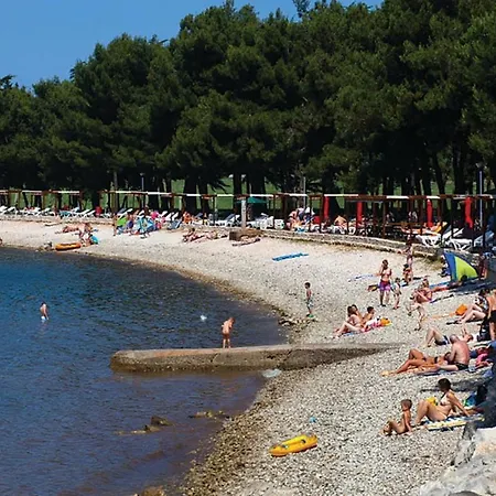 Διαμέρισμα In Novigrad With Wifi *